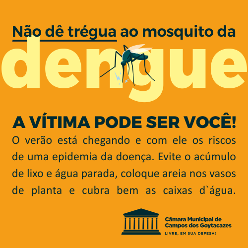 TV Câmara